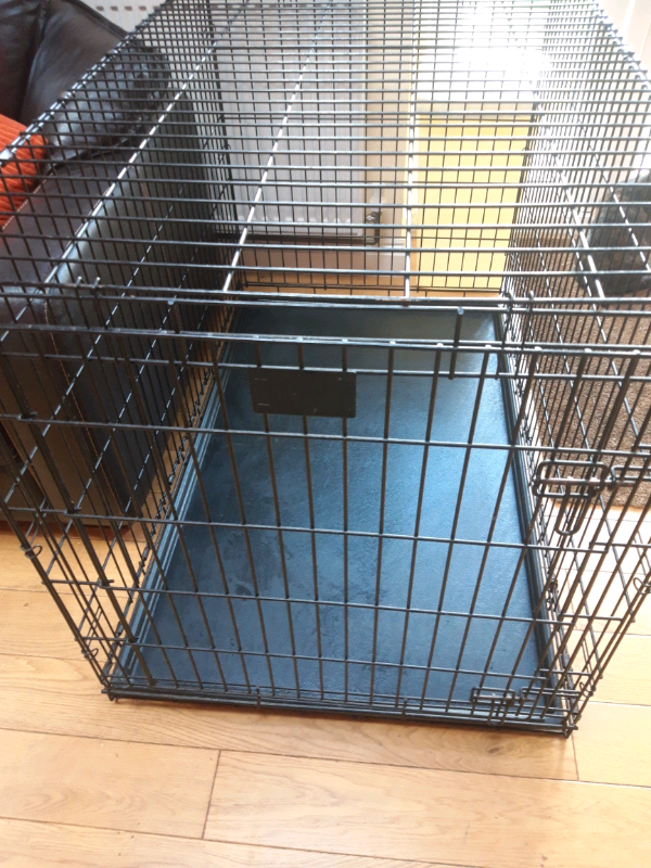 labradoodle gifts amazon